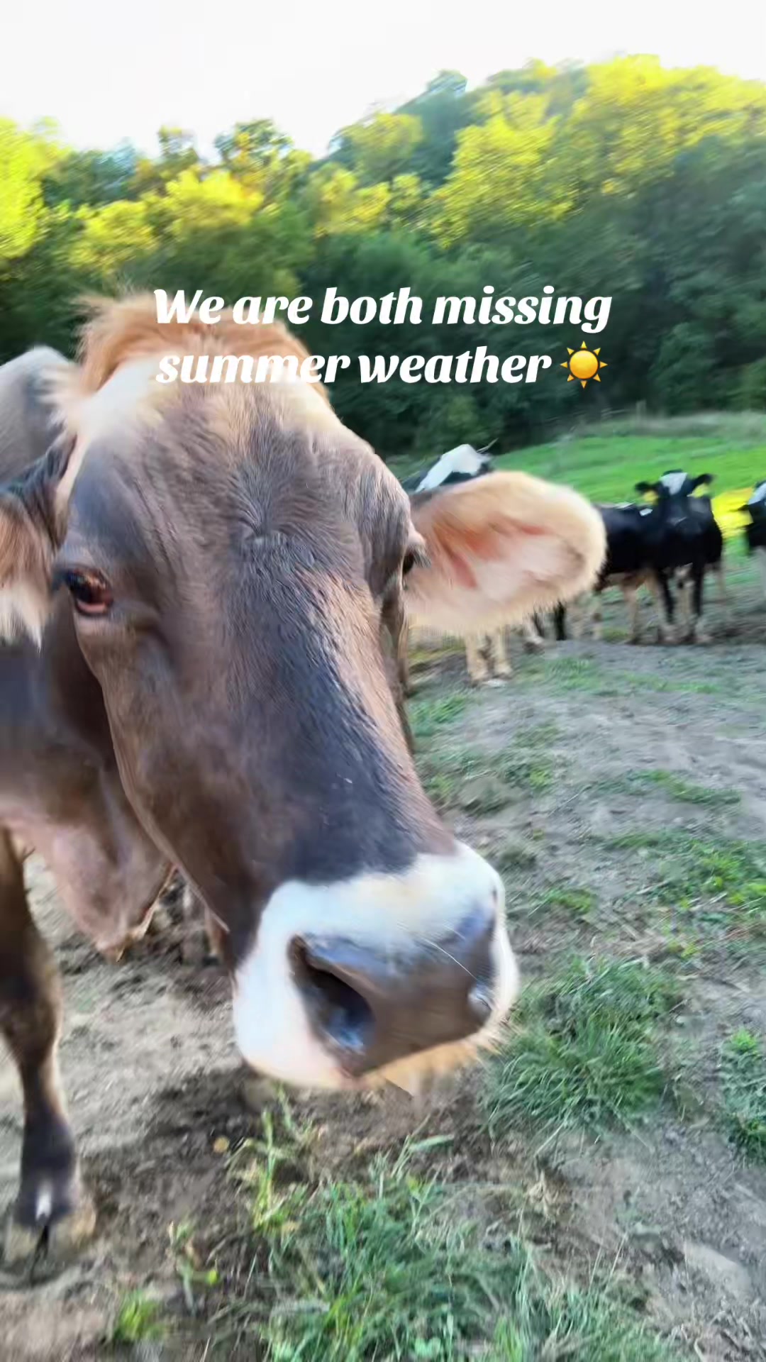 @Farmersdaughterwisco