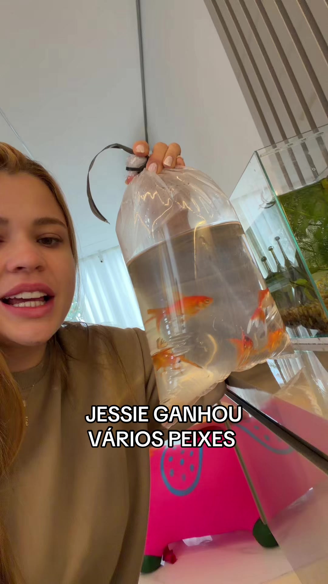 @Julia Olympio