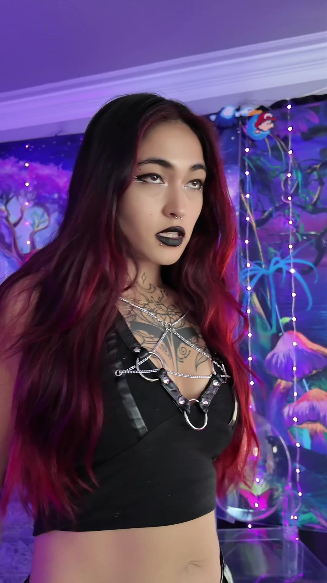 @lilravenfox