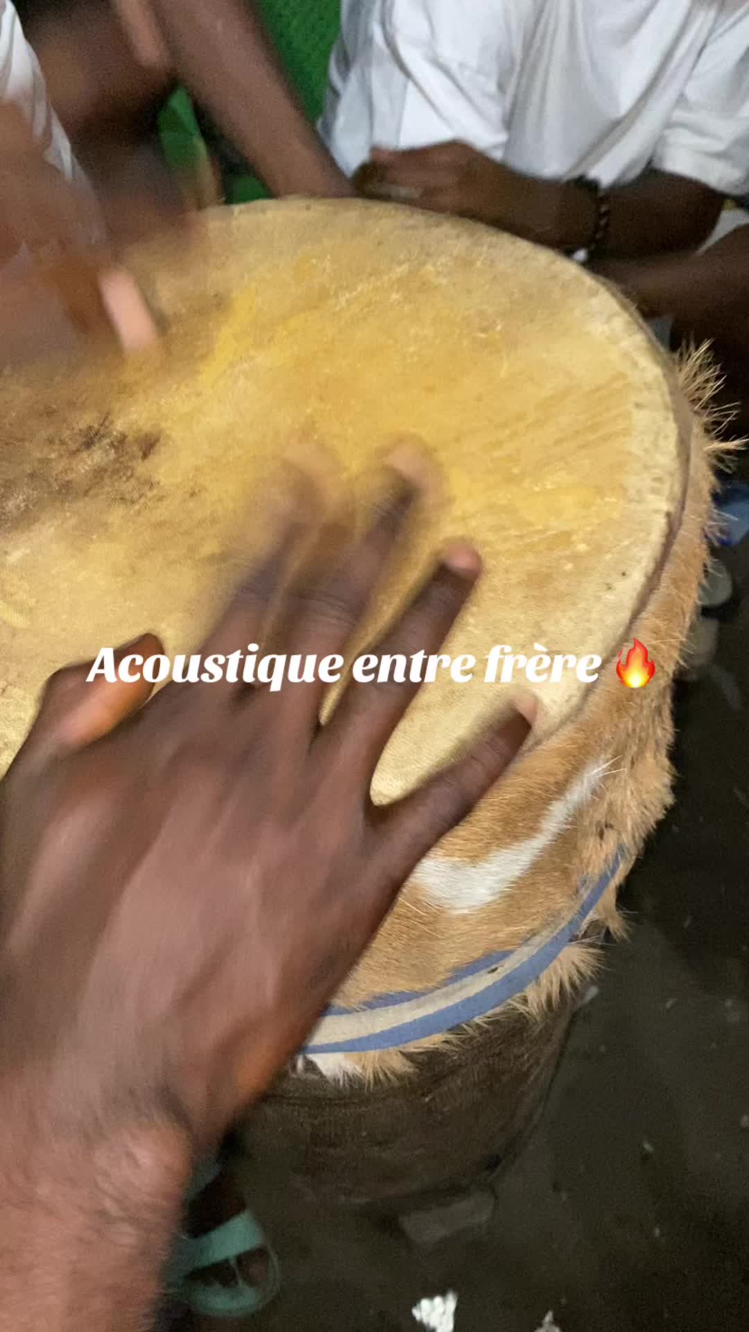 @Les Gangourains révoltes