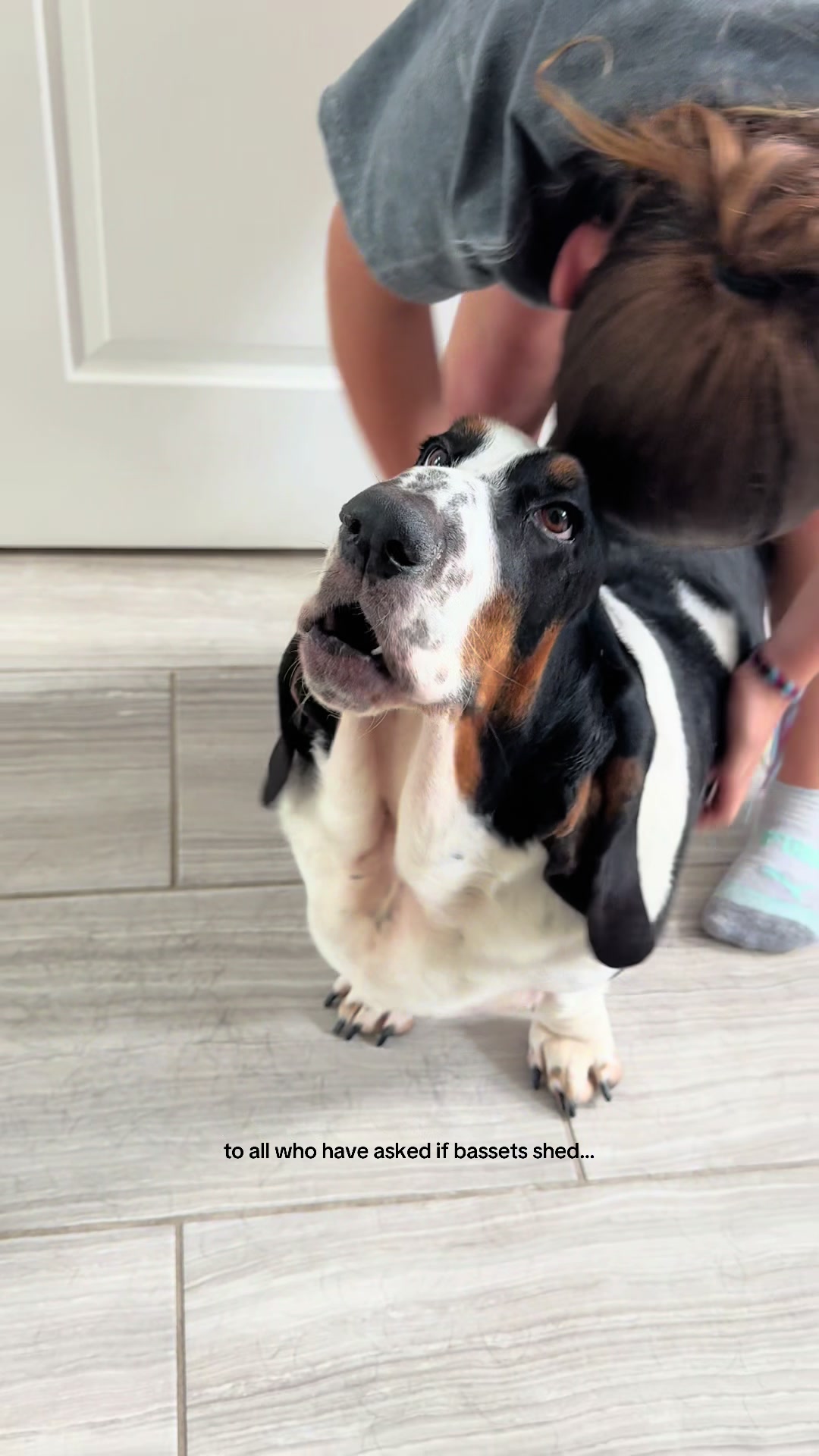 @🐾BillieBasset🐾