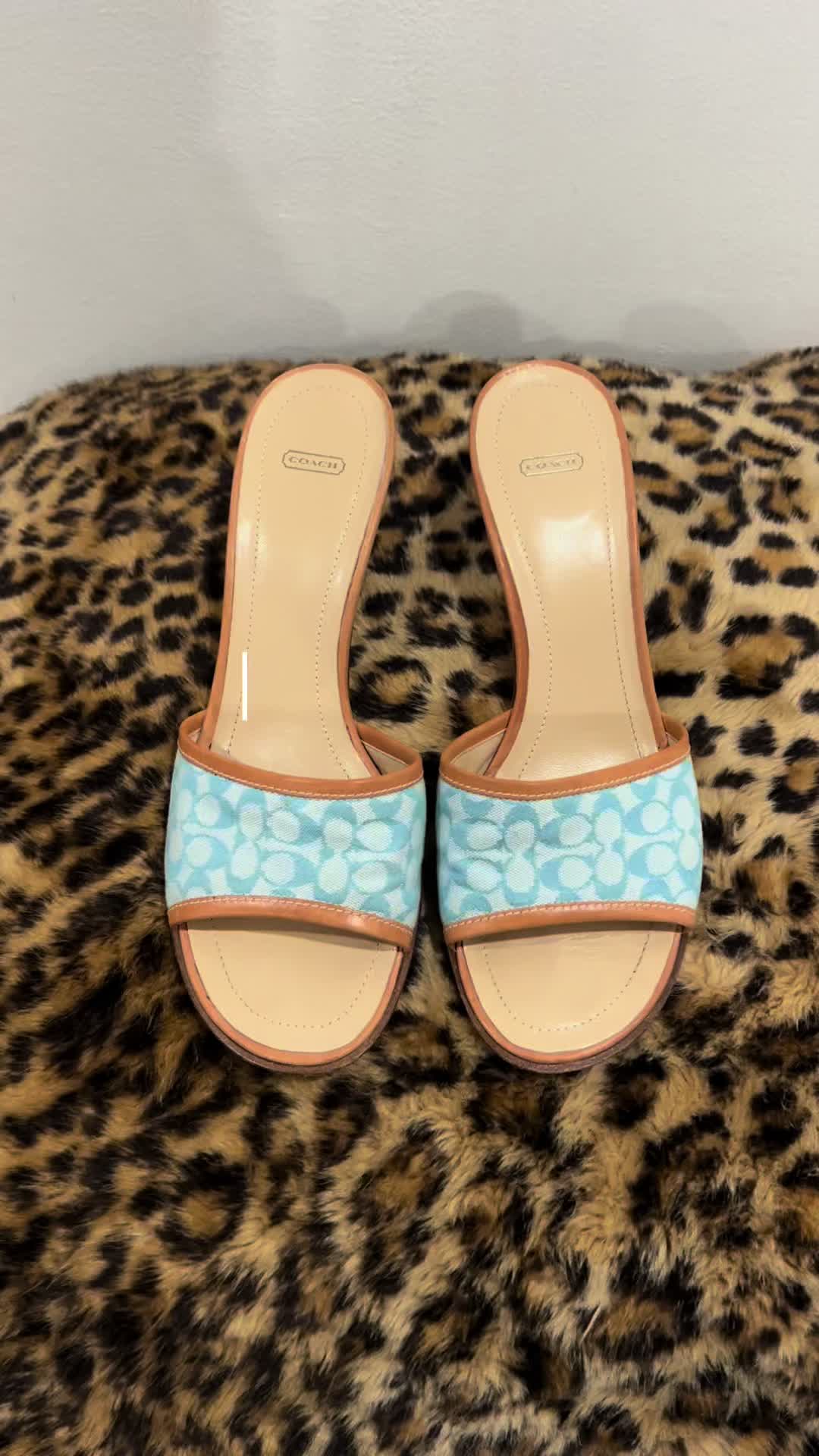 @litzi🐆