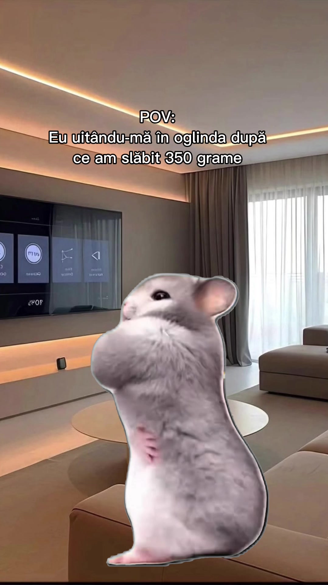 @Alexandra | DM