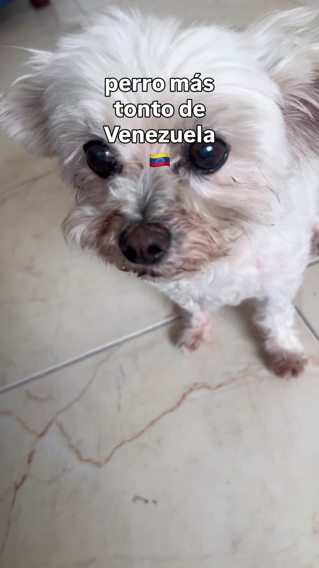 @Desousa