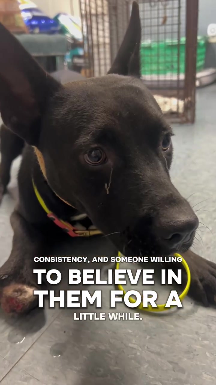 @Corridor Rescue Inc.
