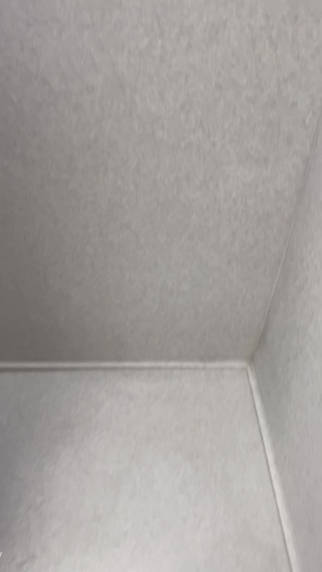 @kingkushemp