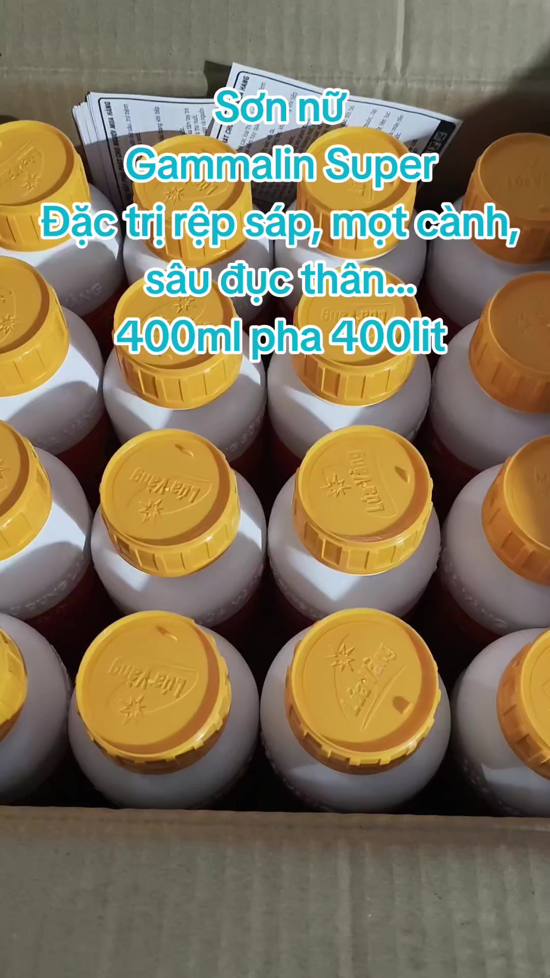 @VTNN Minh Tuấn