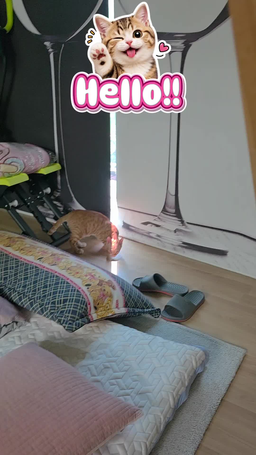 @๊ฐ์์๋น ๐๐๐