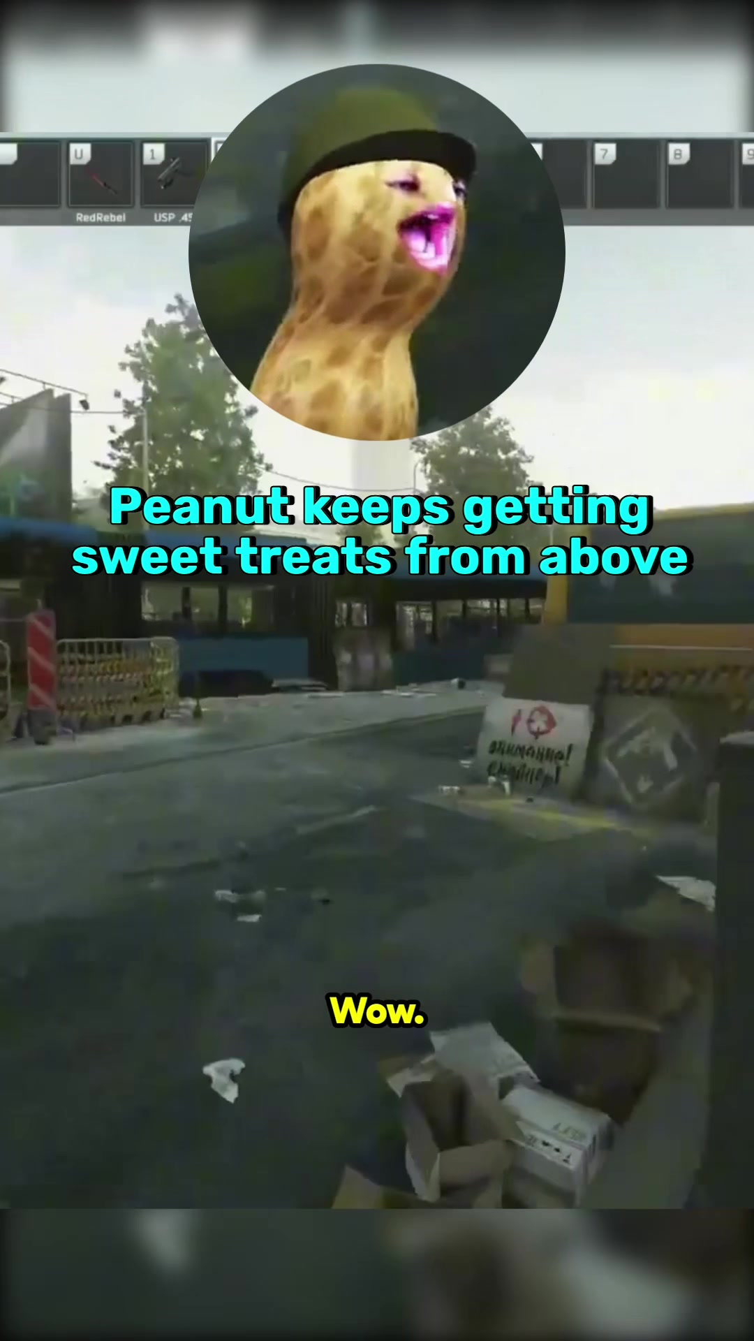 @PeanutClips_Daily
