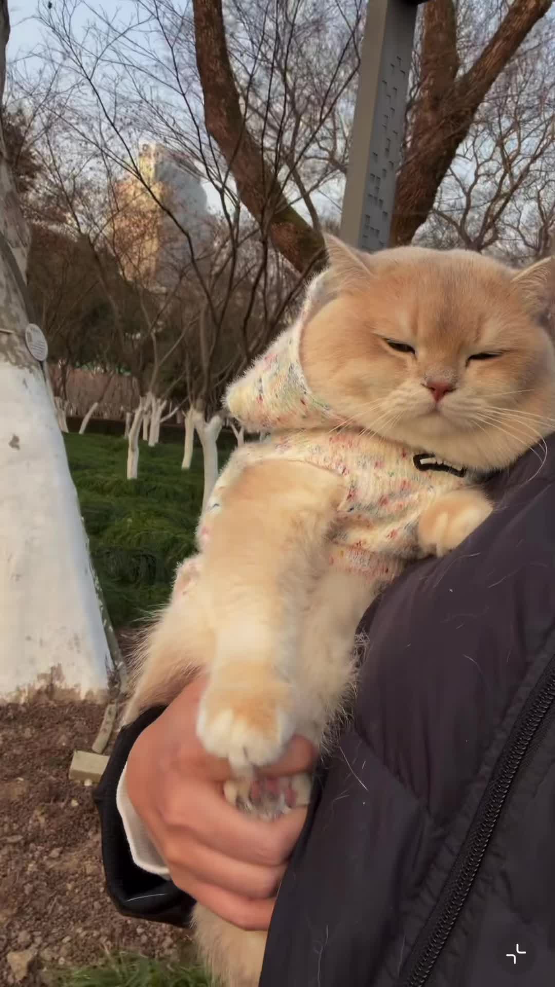 @My Daily Dose of Aww