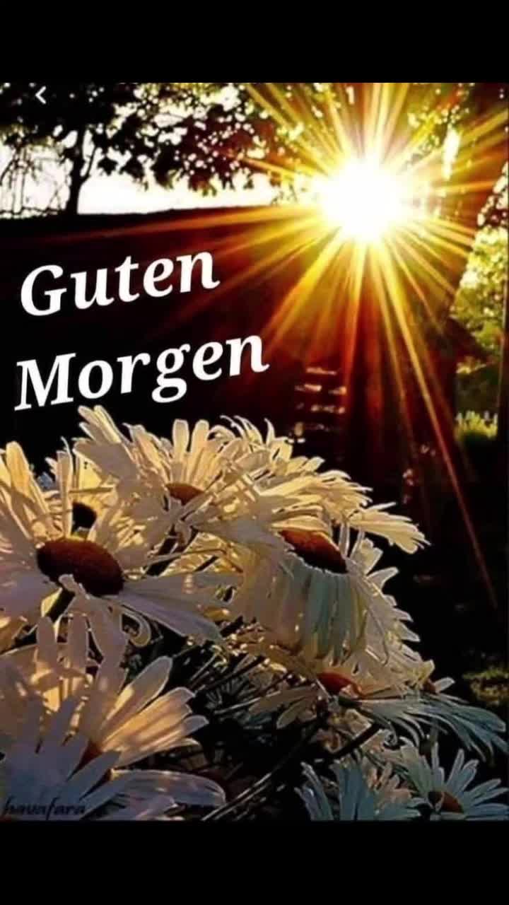 @Steffi Zesewitz