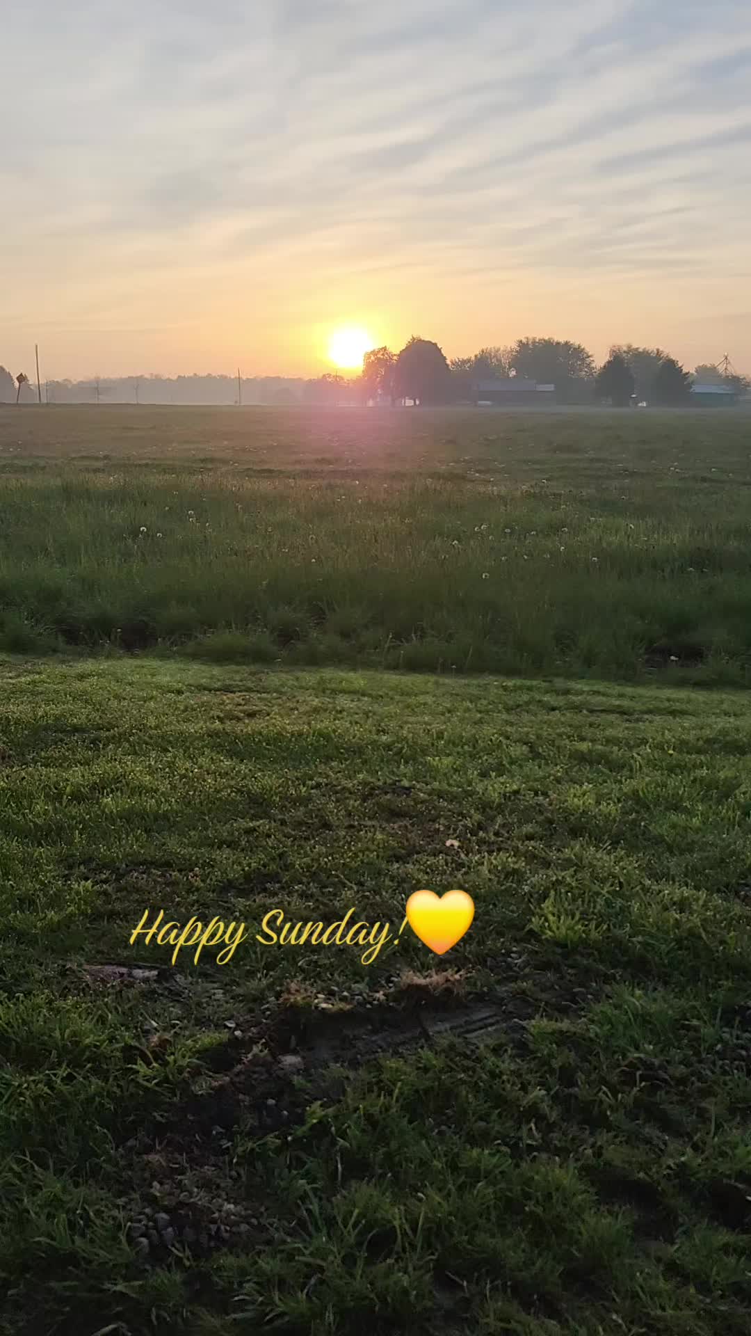 @Lisa🦋 Ont 🇨🇦