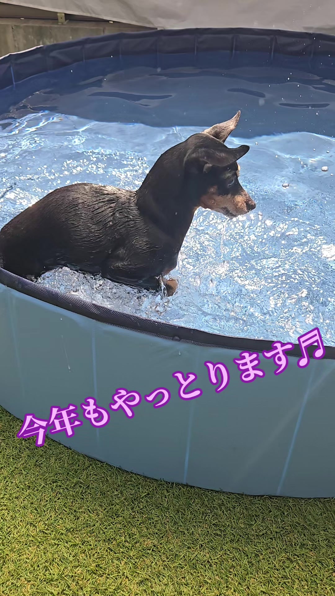 @ðããã¢ð