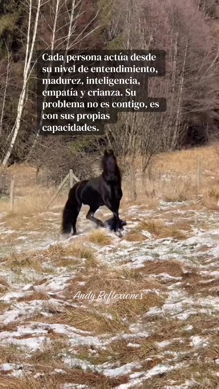 @ANDY-REFLEXIONES 🌹