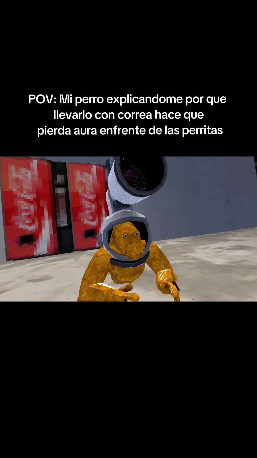 @ChiquisVR
