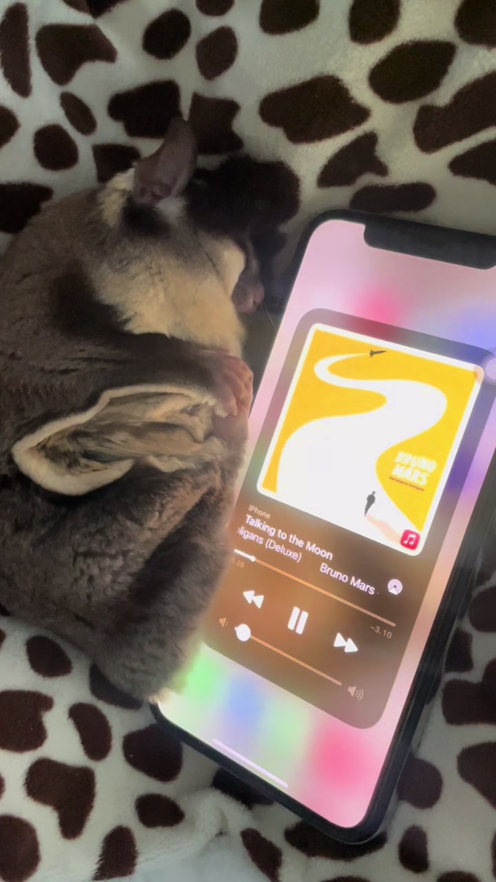 @Sadglider