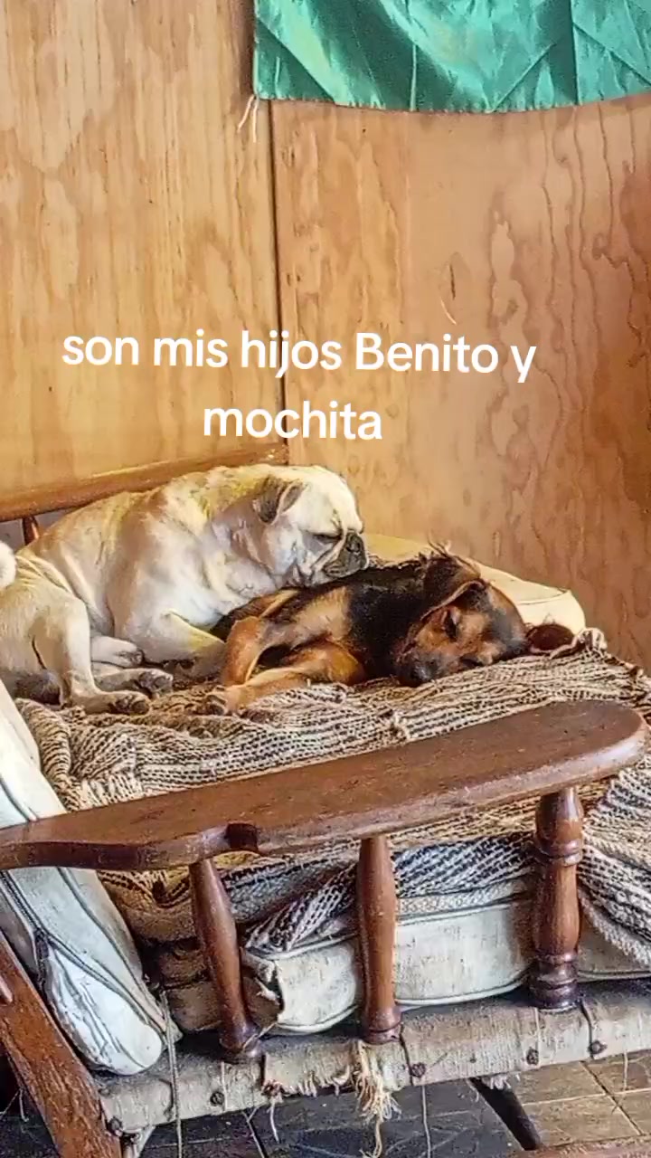 @MARIA L&Oacute;PEZ