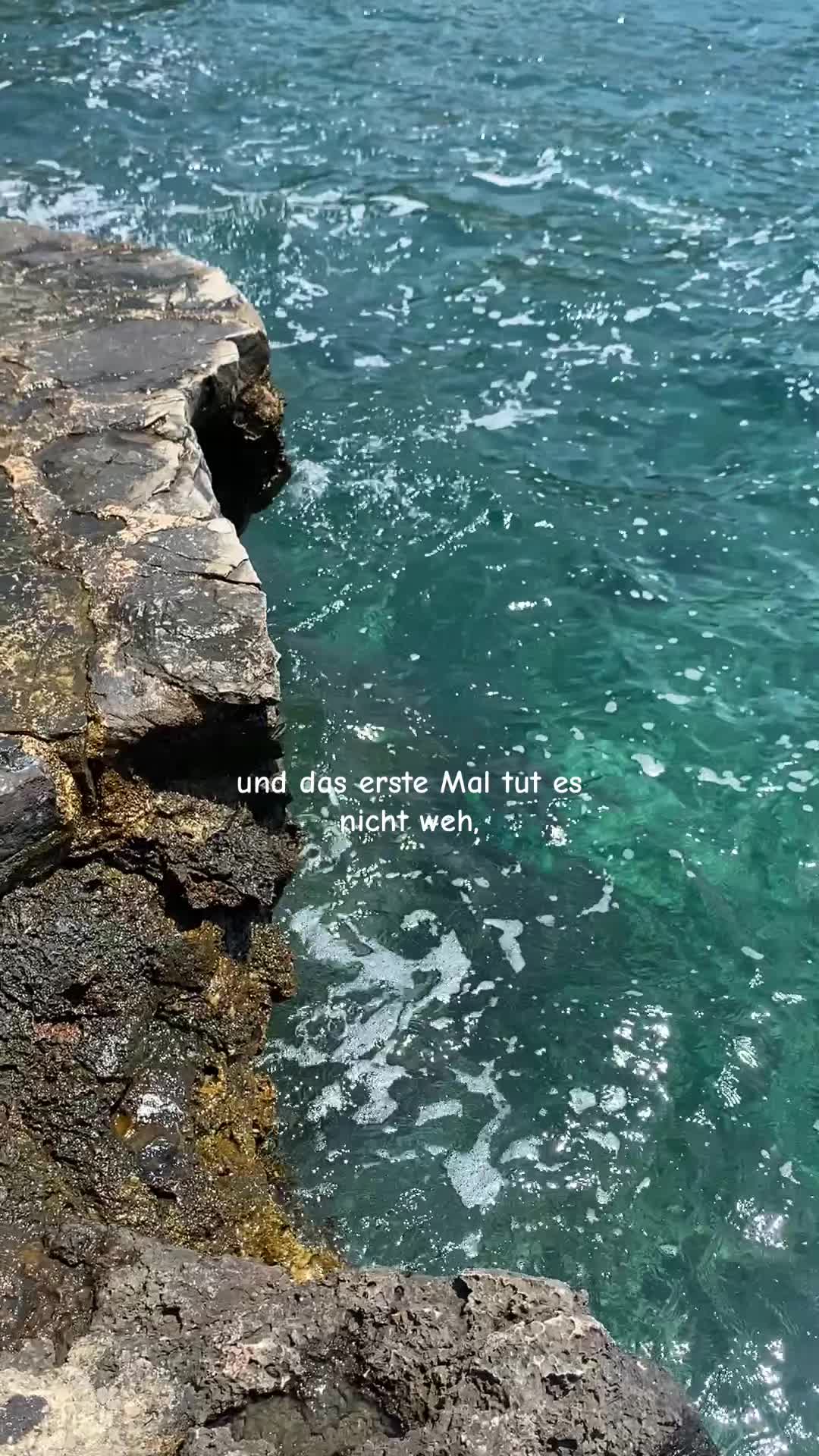 @vivienne.schindelka