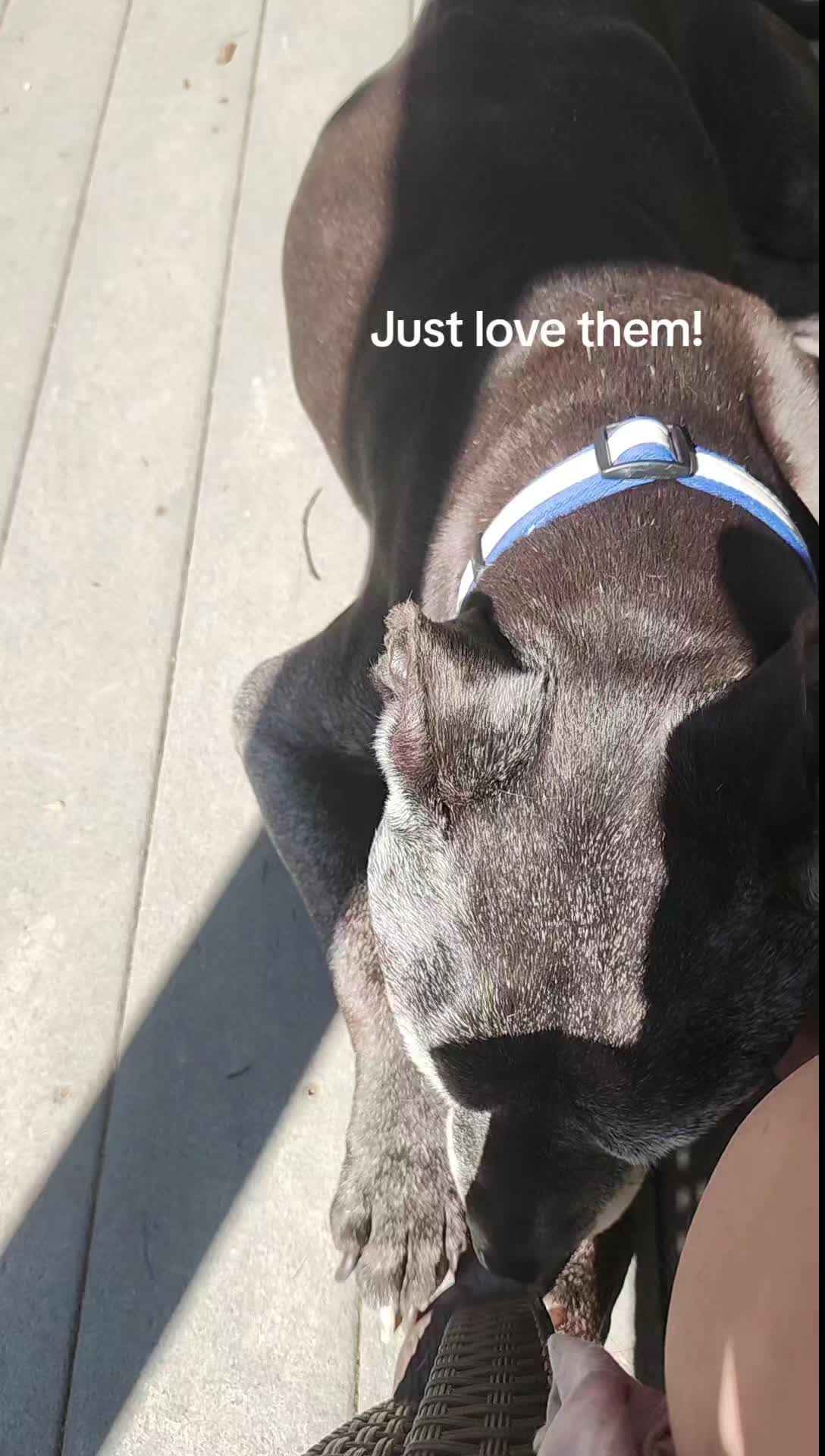 @just_me_Jeneen❌️