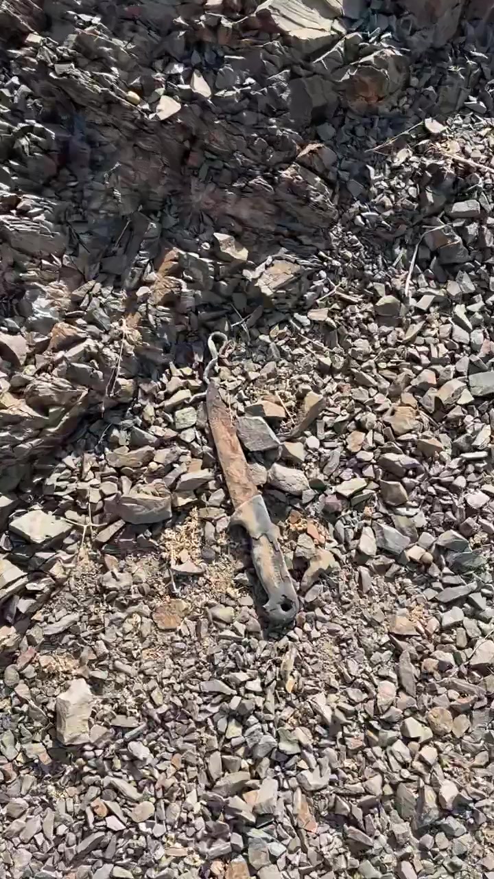 @سليمان البلوي
