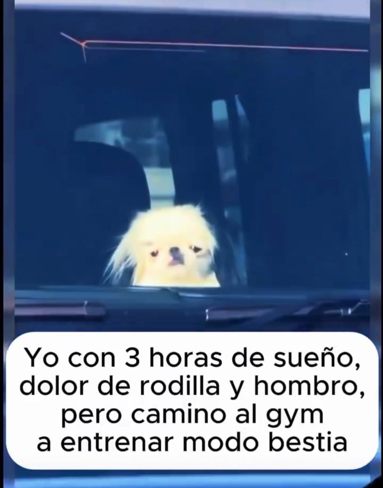 @Clau XD Ventura