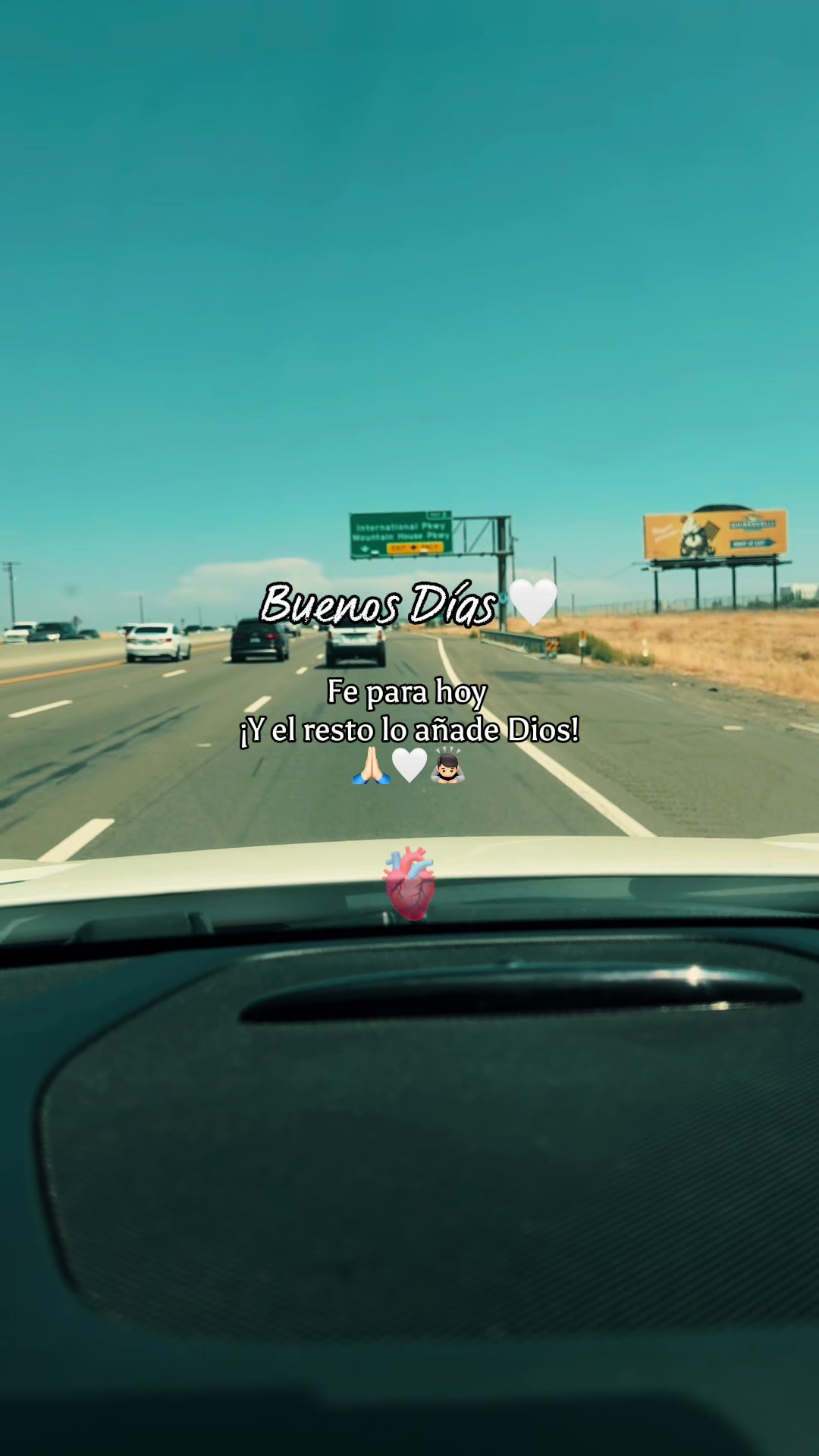 @🦋🐢🦋