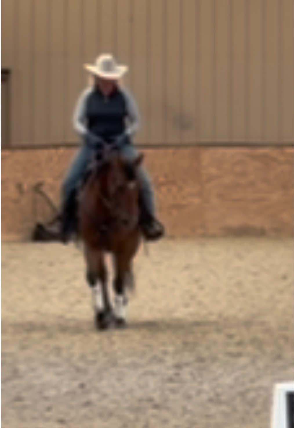 @Mindful Equine Ltd.