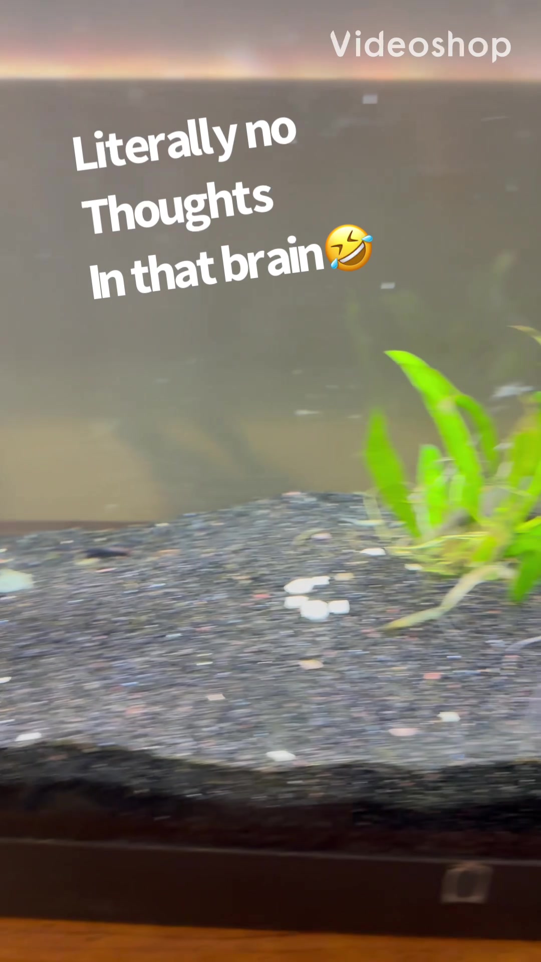 @fishdaddy2002