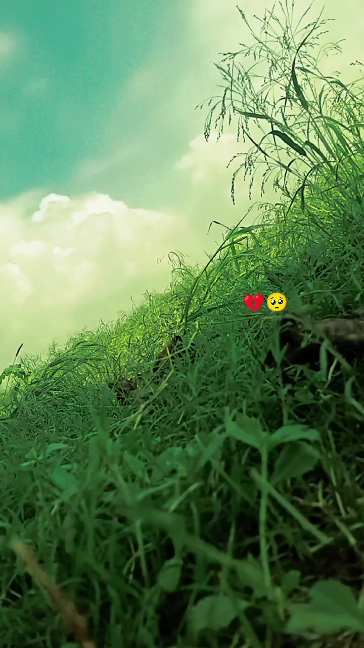 @S..-A. পাগল.. /ছেলে ..?😅