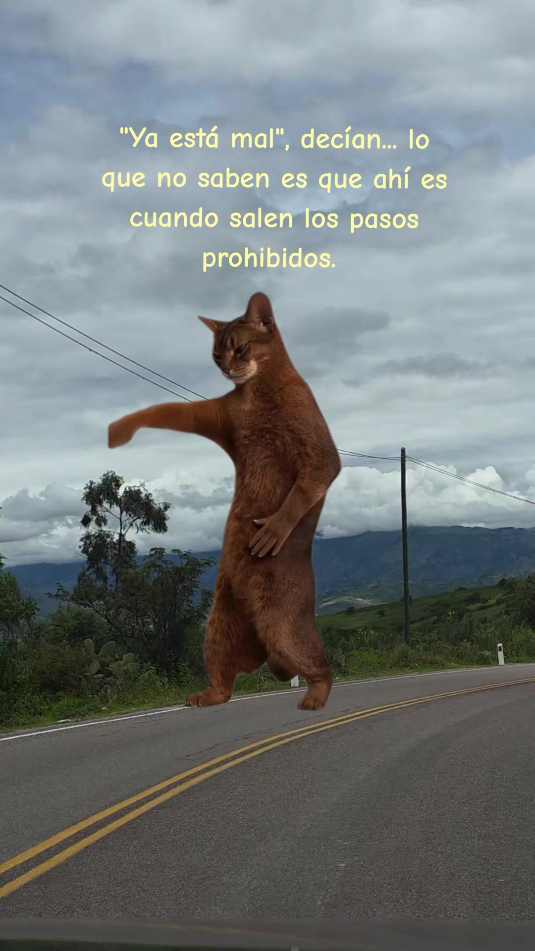 @GP Elisa