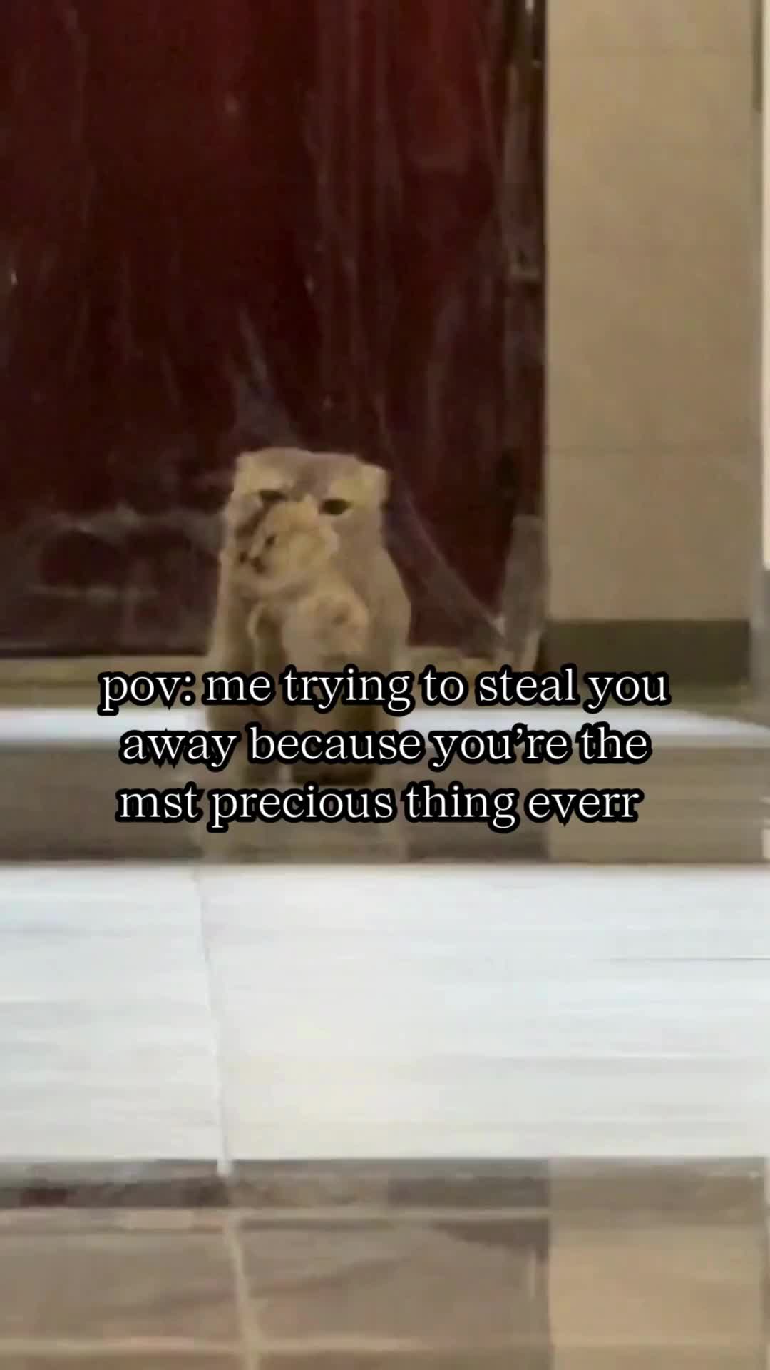 @BabaBear