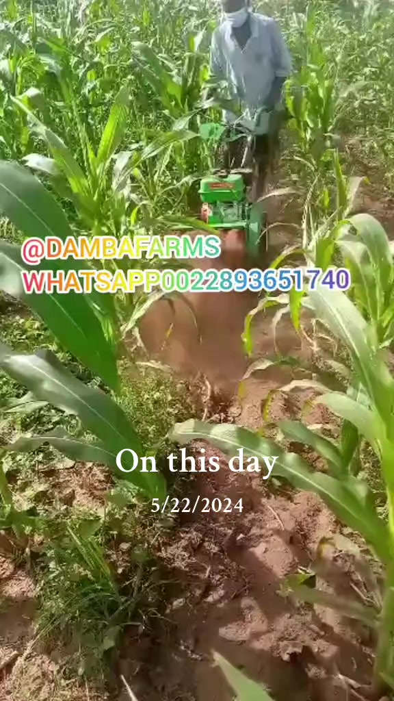 @dambafarms