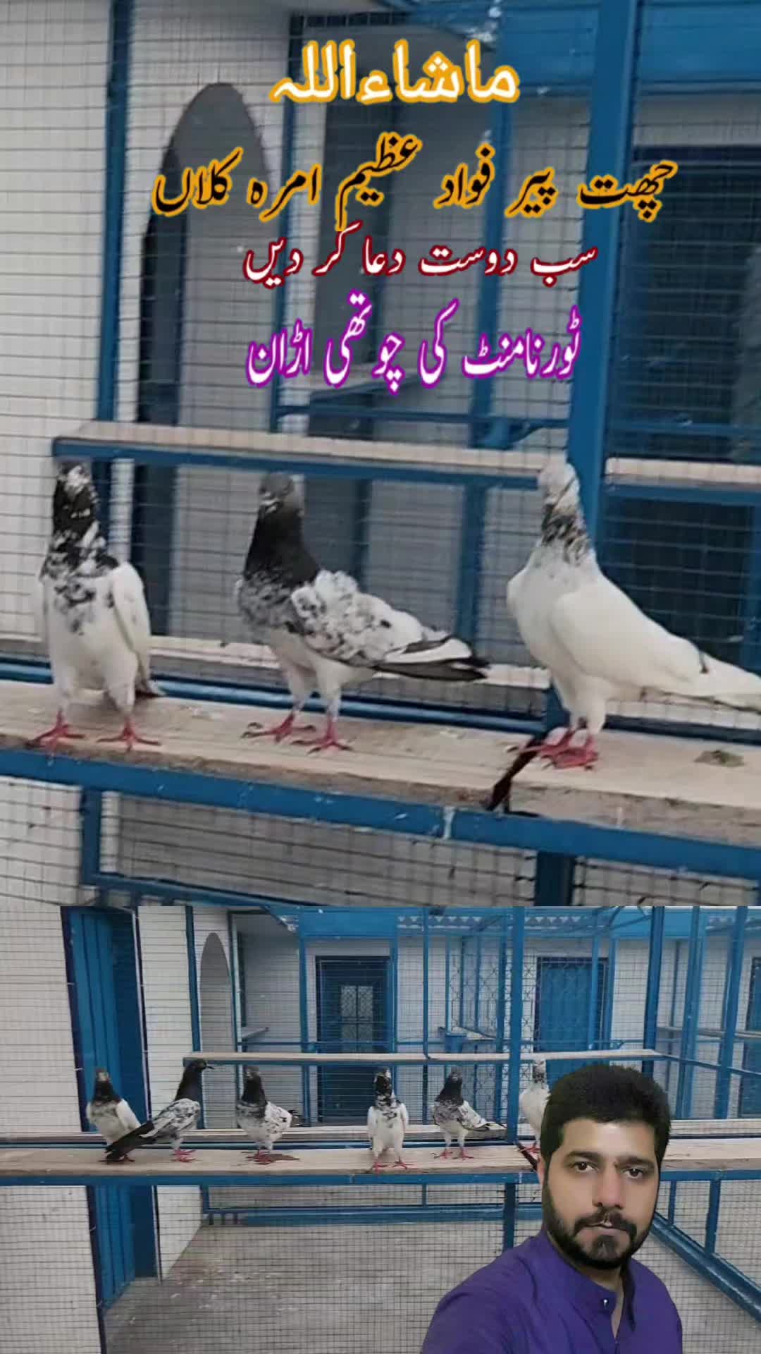 @amrakalan5