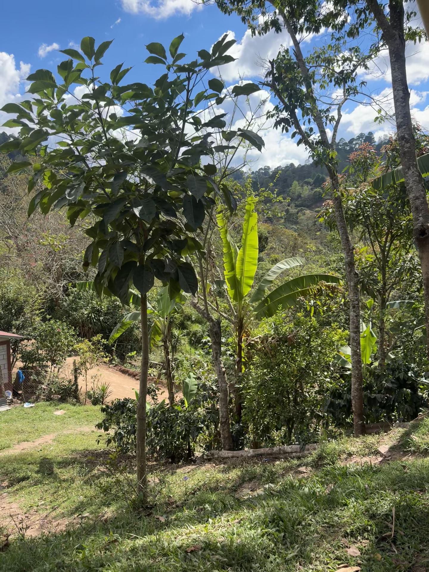 @Iris R 🎀