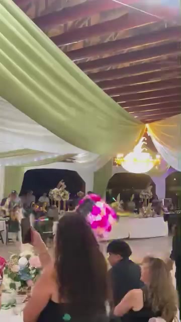 @danielcortez5838
