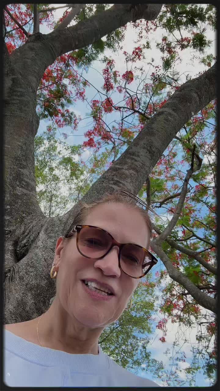 @Mariadlasantana❤️