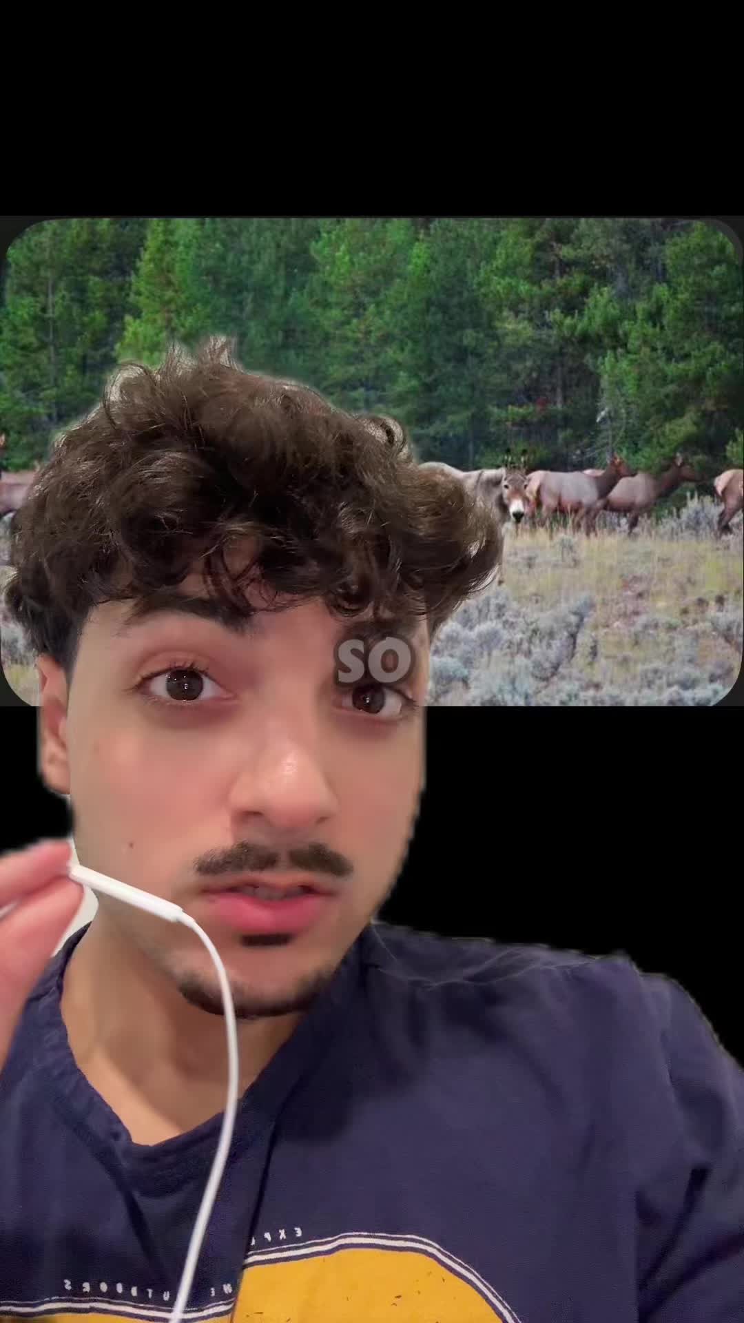 @Sbladn