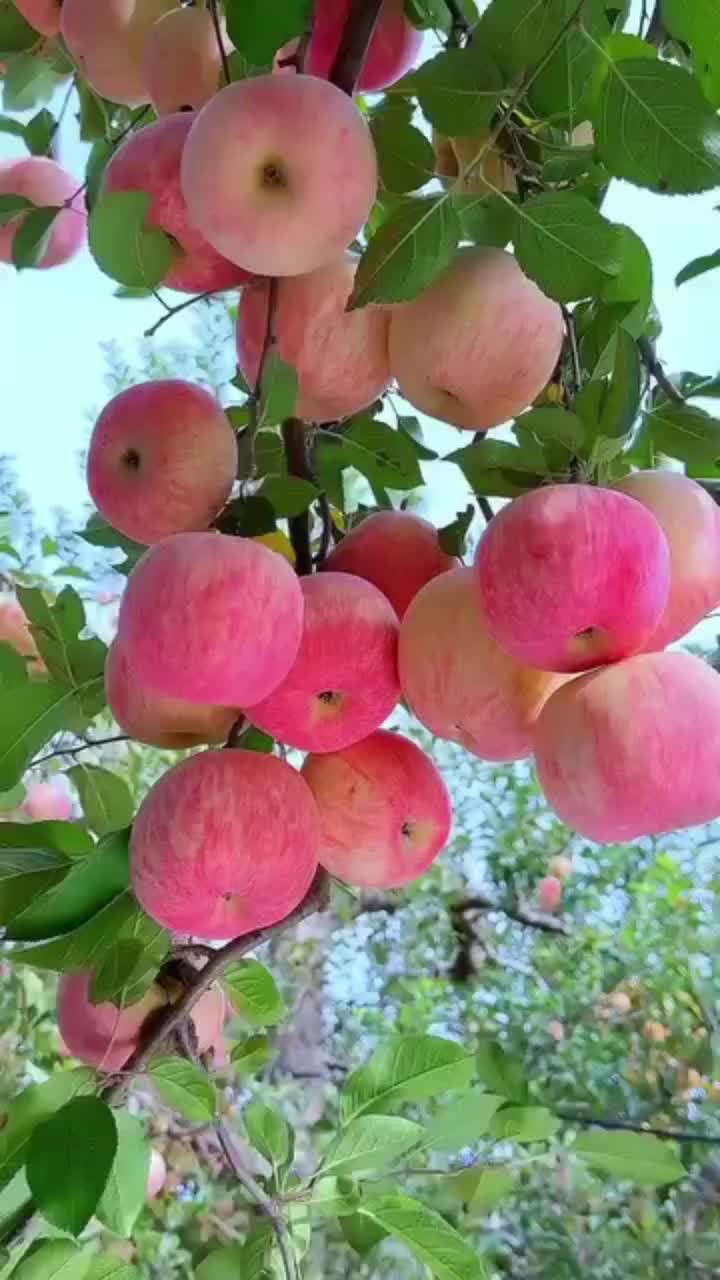 @motivational._.speech5