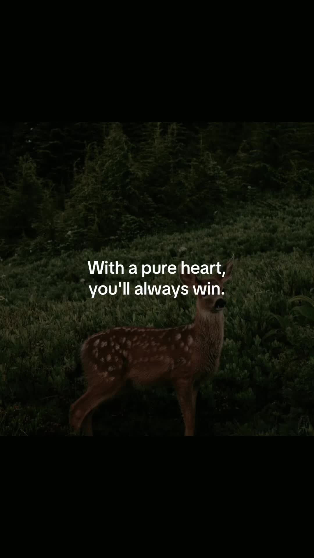 @kaitlyn🧚♀️✨