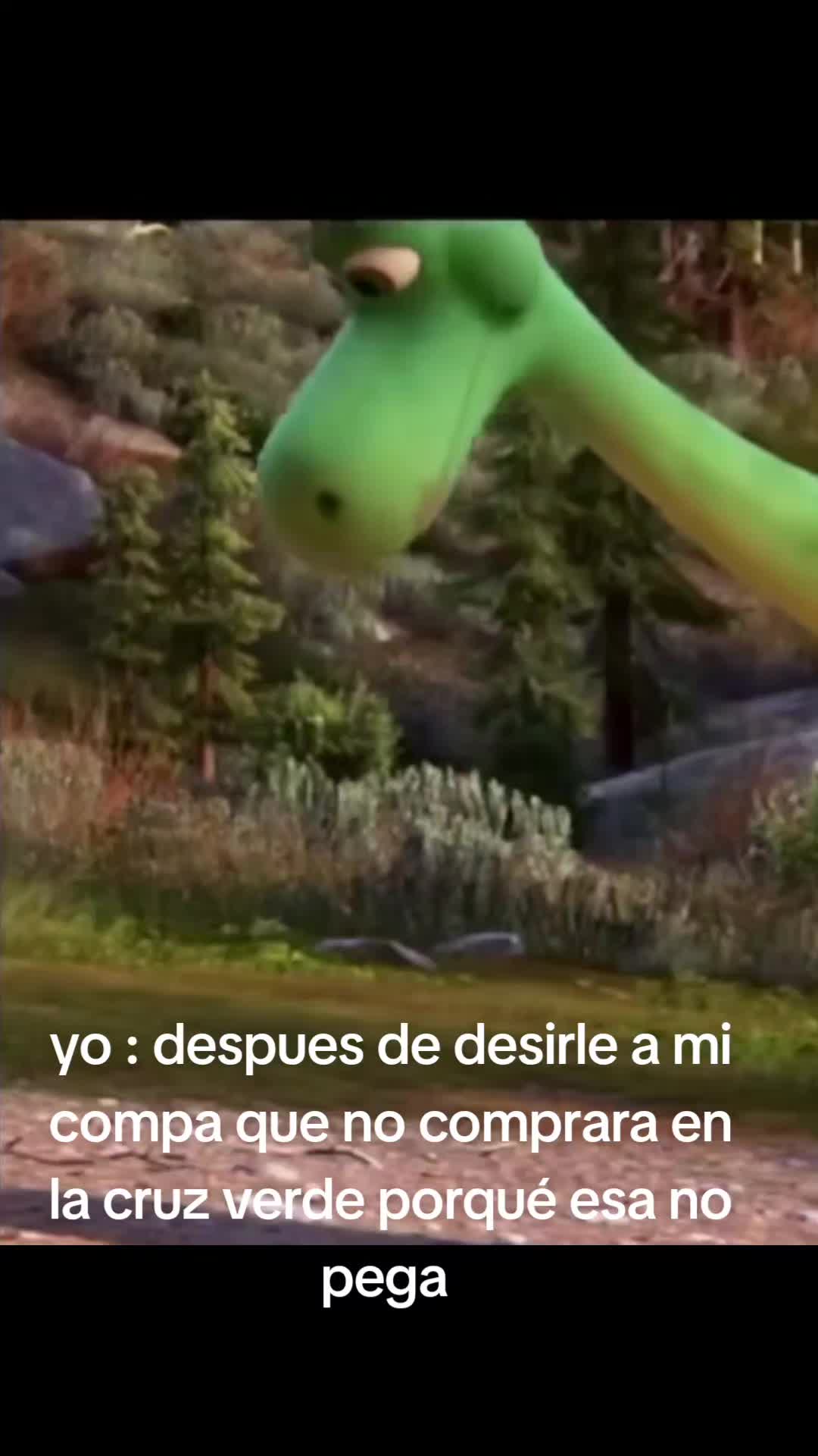 @G .. maldonado