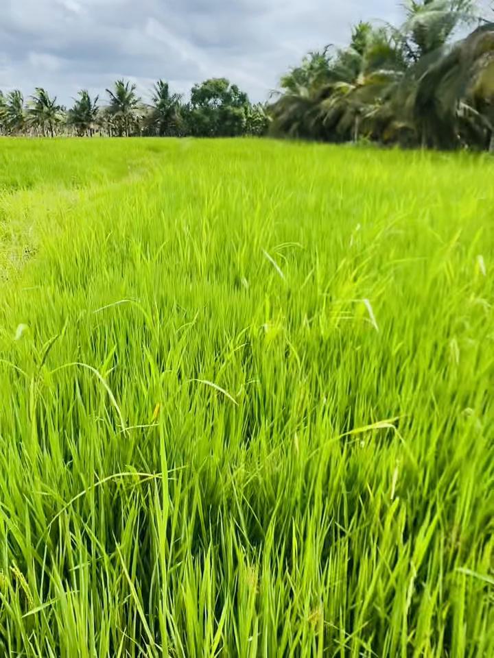 @💞𓄂🇱🇰Ň𝔦ρ𝕌✫💞