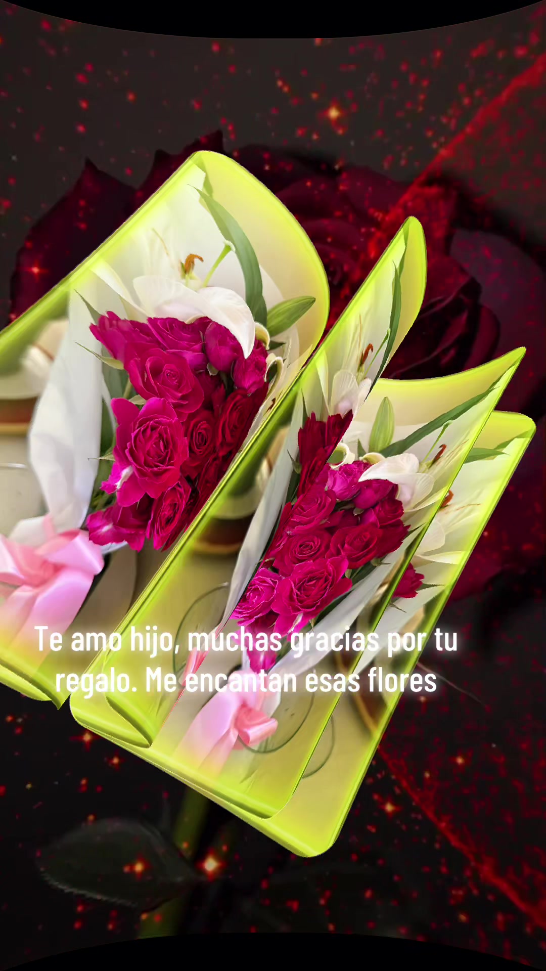 @Giselle Rubio