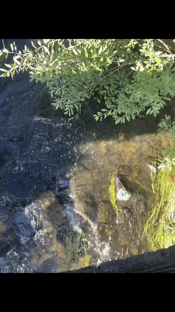 @ell_nature🏴