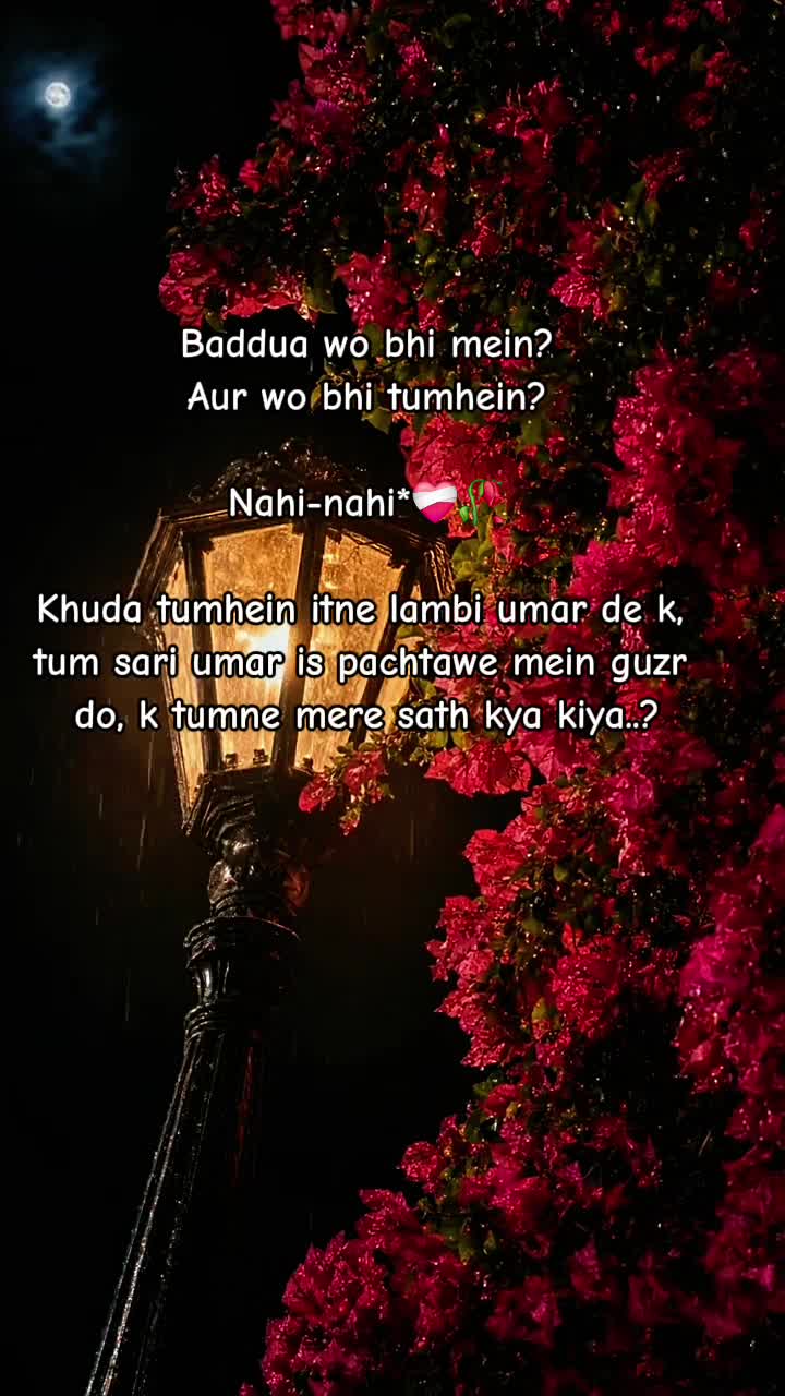 @🌸shayri.k🌸