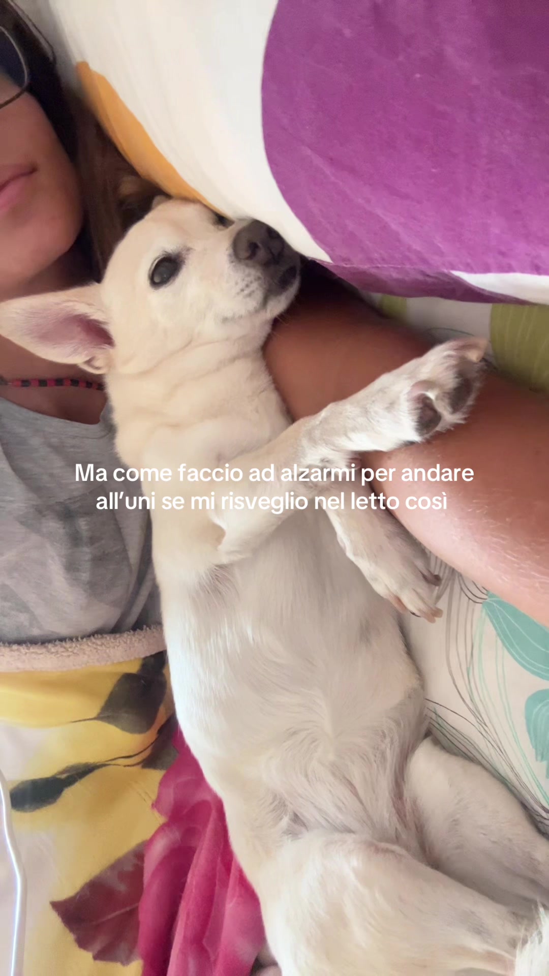 @Emi
