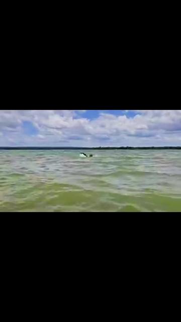 @ADRIAN SÚPER OSO
