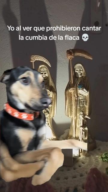 @La bruja de la Santa Muerte ❤️