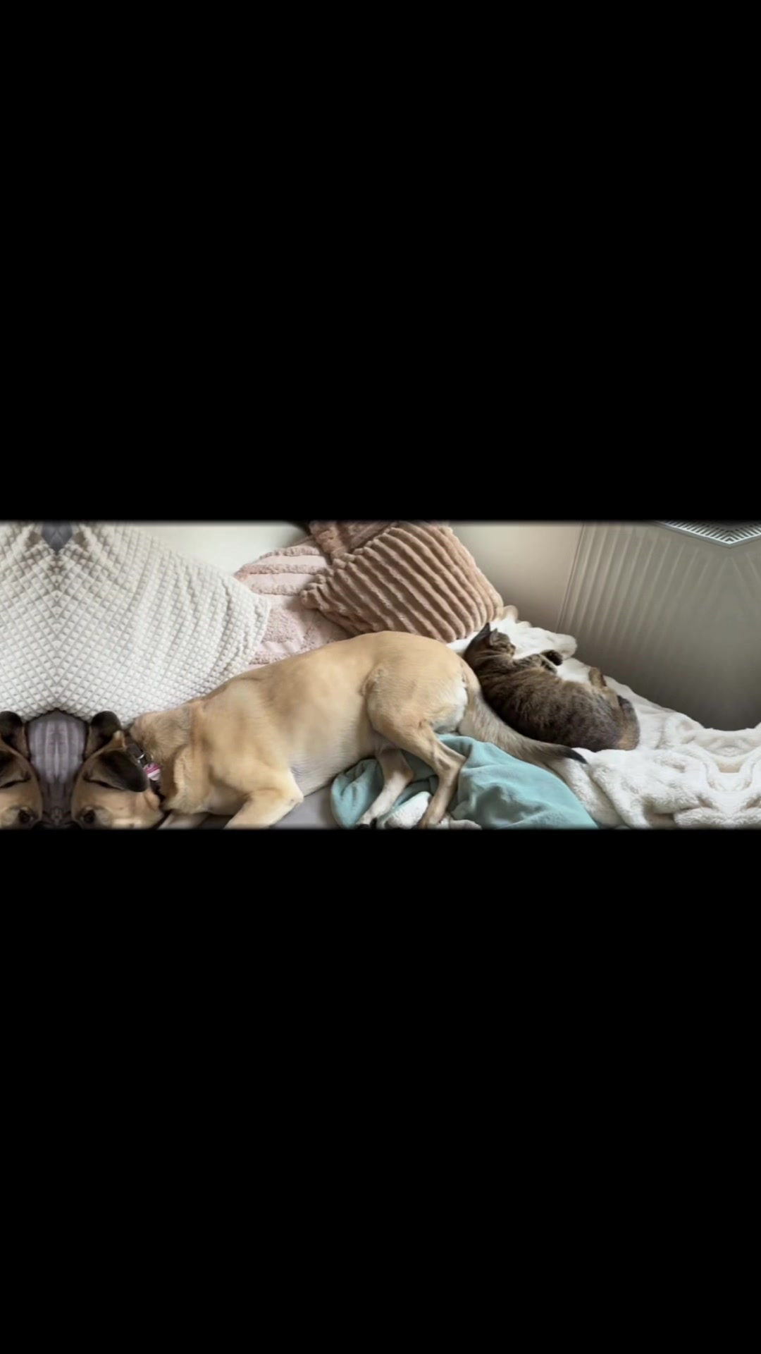 @#therapeutmitherz💯♥️