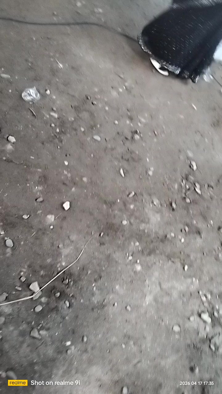 @Mardi Kudi