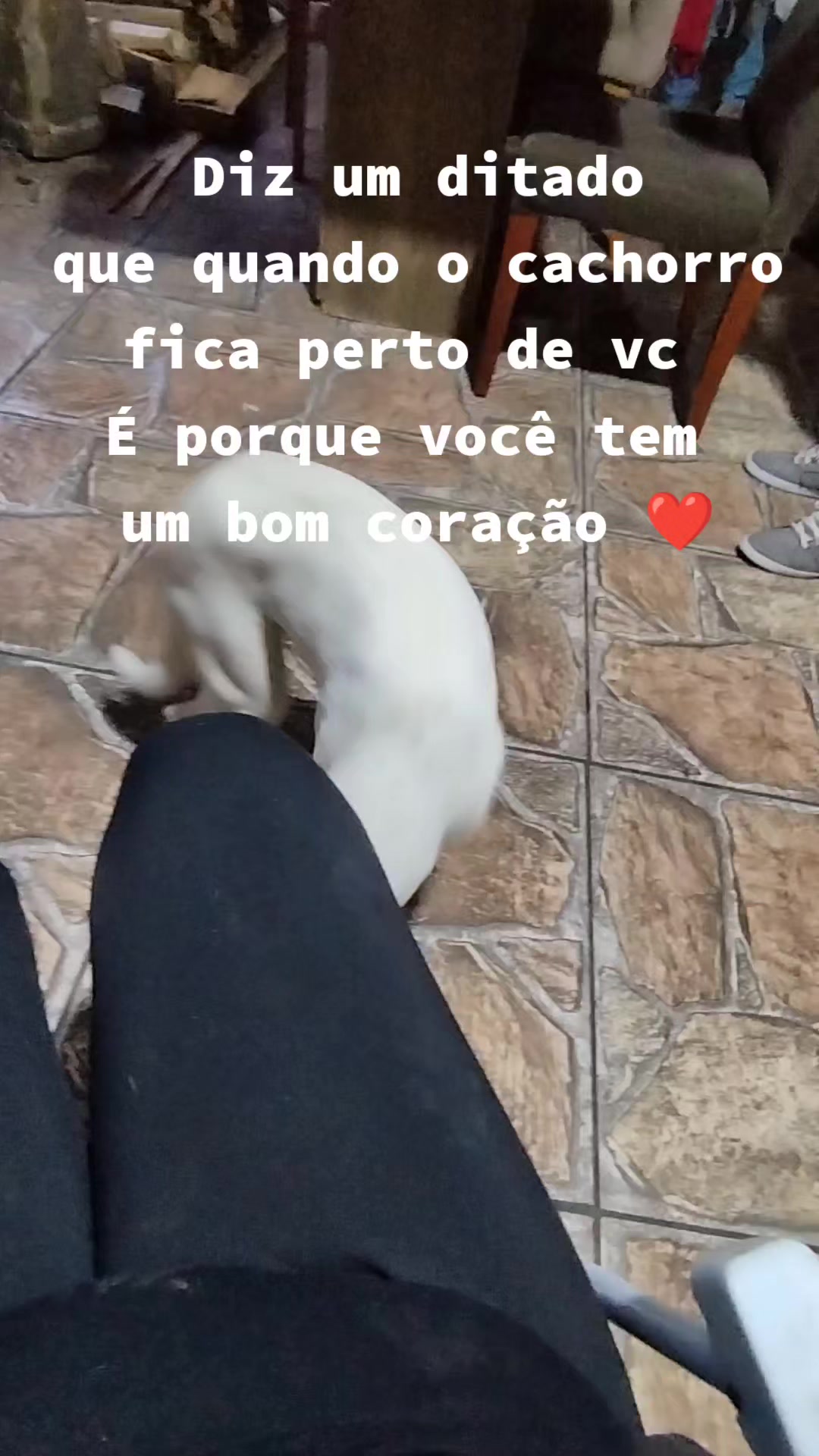 @Se Tu Bora Eu Boro 🛻